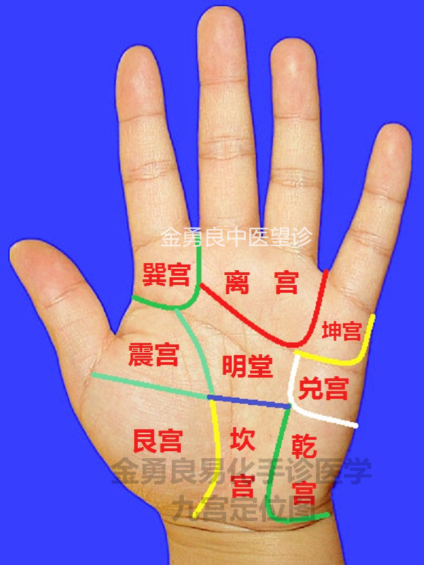 首页 精品项目    九宫八卦和五行是怎样划分手掌的 手掌中的区域按照